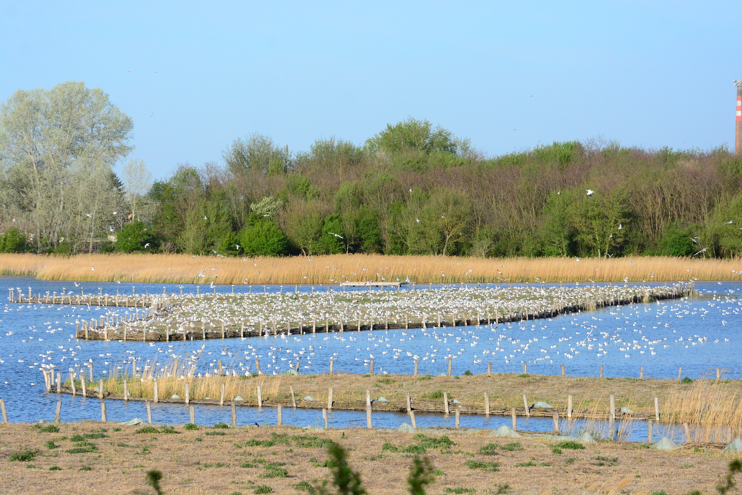 Mesetúrára várják a gyerekeket szombaton a Sóstón